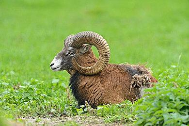 厂商宣布《绝地潜兵2》全球玩家数量已经突破1500万