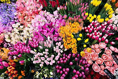 《寂静岭2：重制版》开发商谈系列未来：尚未有定数